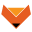 foxrobotics.com