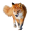 foxvisits.com