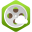 free-dailymotion-downloader.com