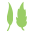 frontiercoop.com