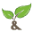 fruitsandroots.co.za