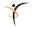 fullmotionchiro.com