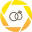 funinthesunweddings.com