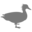 fuzzyduckarmscote.com