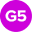 g5cybersecurity.com