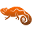 galaopt.com