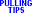 gardentractorpullingtips.com