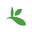 gbif.org