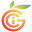 gci-ga.com
