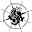 geoquest.ro
