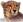 gepard.net