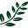 germanhomeopathy.co.in