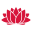 gethealthynsw.com.au