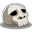 gigglingcorpse.com