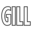 gilltechnology.com