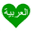 ginikoarabic.com