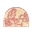 giuliettaromeopizza.com