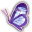 glasswing.ca