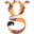 globalgiraffe.com