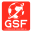globalsoccerforum.com