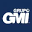 gmi.com.mx