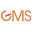 gmshospital.ru