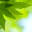 goinggreenpublications.com