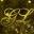 goldenlightwa.com.au