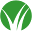 gomingtree.com
