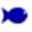 gonicofish.com