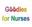 goodiesfornurses.co.uk