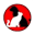 gopetvet.com