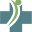 goremedical.co.nz