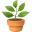 grama-cesped.com