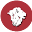 grapevinefaith.com