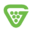 grapevinemsp.com