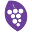 grapevinestudies.com