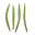 grassroots-yoga.com