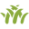 grassrootsworkshops.com