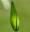 green-tech.rs