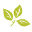 greencanyon.com.ph