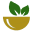 greendaysite.com