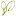 greenexamacademy.com