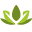 greenglory.ru