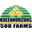 greenhorizonssod.com