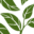 greenideas.ca