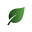 greenism.com