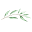 greenlawnfuneralhome.com
