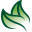 greenleafpc.com