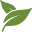 greenlifenursery.ca